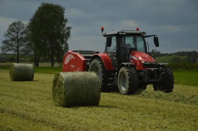 Do kiedy siać poplon arimr - uniknij błędów w siewie!