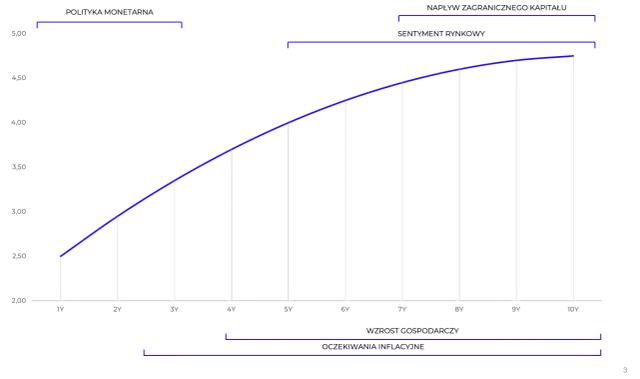 Krzywa rentowności: jak zrozumienie jej kształtów może uratować inwestycje