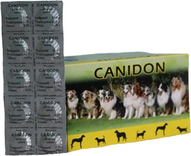 Ceny tabletek na odrobaczanie psa - ile zapłacisz za zdrowie pupila?