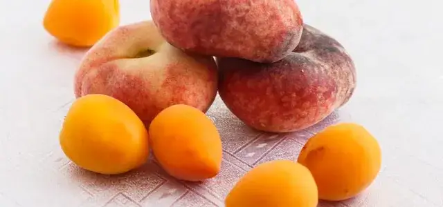 Jak się rozmnażają muszki owocówki i jak ich uniknąć w kuchni