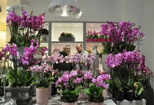 Czy kwiaciarnia to dobry biznes? Analiza zysków i wyzwań w branży