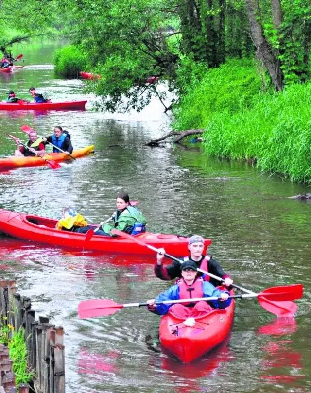 Niezapomniane spływy kajakowe w Łódzkim - najlepsze trasy i wypożyczalnie