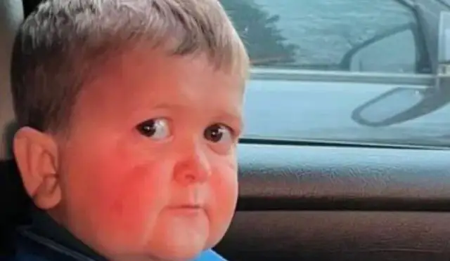 Ile lat ma Hasbulla? Zaskakujące fakty o jego życiu i popularności