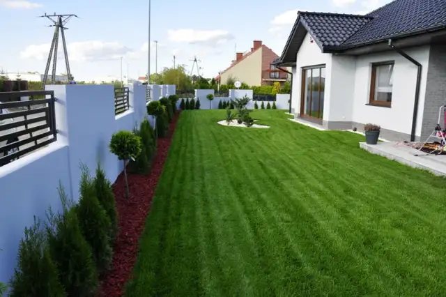 Jak zrobić ładny trawnik: proste kroki do idealnej murawy