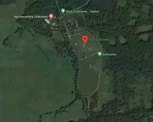 Dzikowiec łowisko: Idealne miejsce na wędkowanie w Dębnie