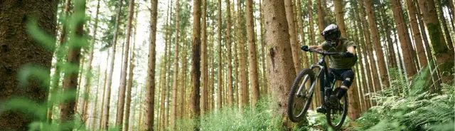 Co je enduro bike i dlaczego warto go mieć w swojej kolekcji?