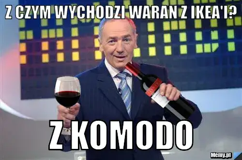 Najlepsze memy z waranem z Komodo, które rozbawią każdego internautę