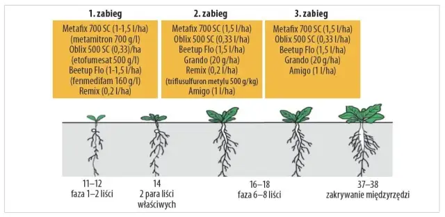 Jak skutecznie zwalczyć burczenie w brzuchu? Praktyczne porady.