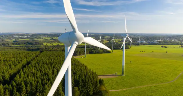 Czy elektrownie wiatrowe są szkodliwe dla zdrowia ludzi i zwierząt?