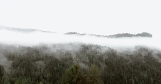 Jak rozwiązać zagadkę Kwestii Życia i Śmierci w Wiedźminie 3?