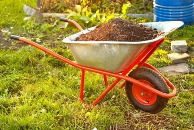 Czy kompost zakwasza glebę? Sprawdź, jak to wpływa na uprawy