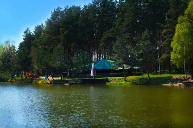 Łowisko Taaka Ryba - idealne miejsce na udane wędkowanie w Suminie