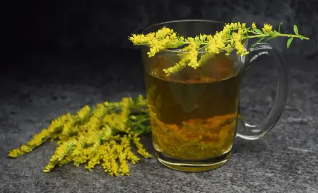 Napar z nawłoci – na co pomaga i jak go przygotować dla zdrowia