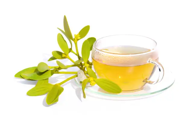 Herbata z jemioły jak parzyć – prosty sposób na zdrowie i doskonały smak