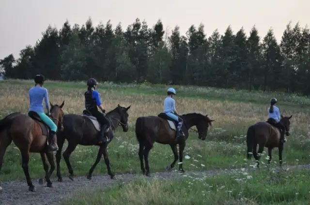Jeździectwo dyscypliny: Poznaj różnorodność i ich znaczenie w sporcie