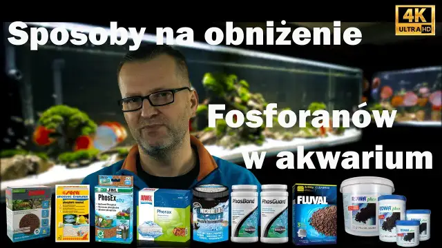 Jak obniżyć fosforany w akwarium i poprawić zdrowie ryb