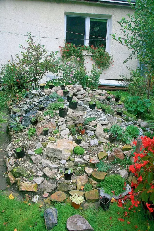 Jak zrobić mały skalniak przed domem – proste kroki i porady