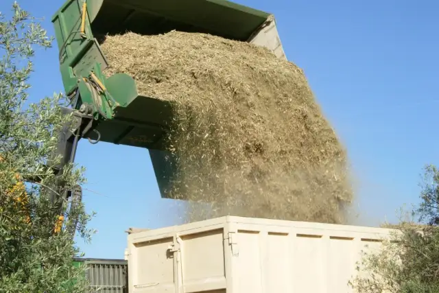 Biomasa drzewna – klucz do efektywnej energetyki i zrównoważonego rozwoju przemysłu