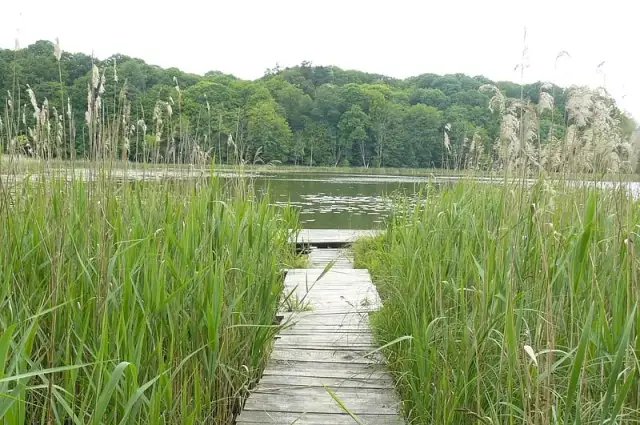 Murowana Goślina atrakcje, które zaskoczą każdego turystę