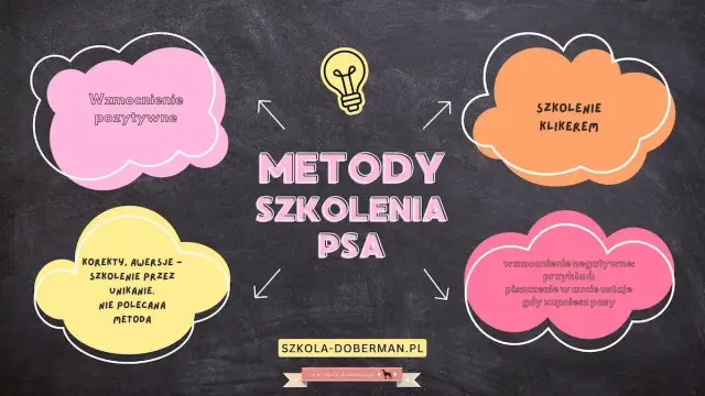 Skuteczne metody jak wytresować psa żeby się słuchał: 10 sprawdzonych zasad