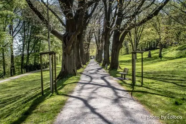 Najlepsze atrakcje w Bielefeld, które musisz zobaczyć podczas wizyty