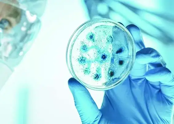 Kiedy odkryto wirusy? Kluczowe fakty i znaczenie dla nauki