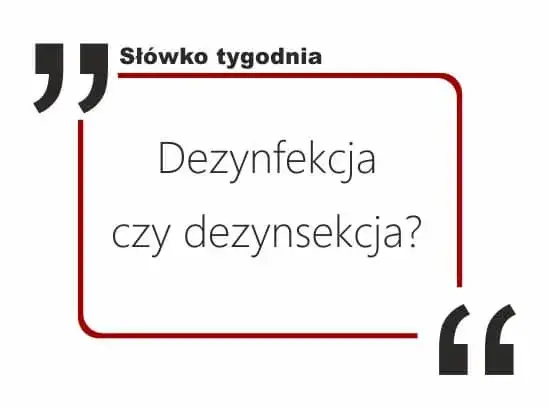 Dezynfekcja czy dezynfekcja: co musisz wiedzieć o skuteczności?