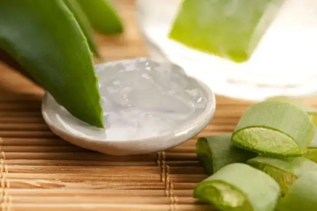 Jak stosować aloes na dziąsła – skuteczne sposoby na ból i stany zapalne
