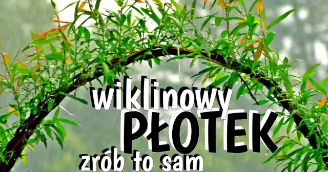 Jak zrobić płot z wikliny - proste kroki do pięknego ogrodzenia