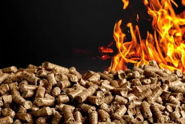 Z czego zrobić pellet? Najlepsze surowce i ich zastosowanie w produkcji