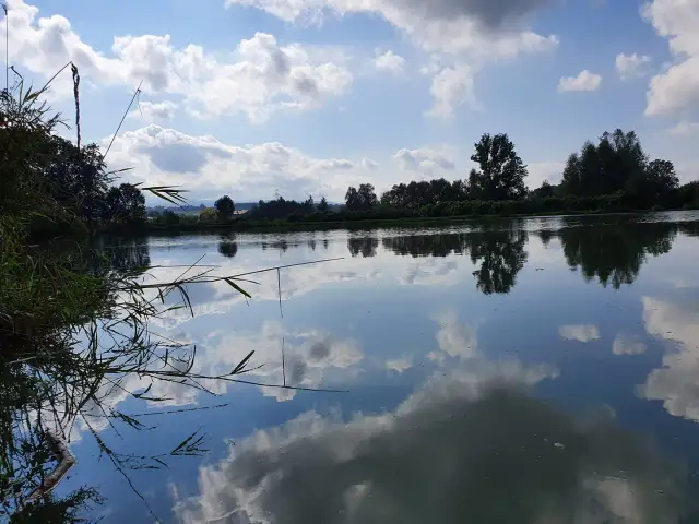 Łowisko zawodzie - poznaj zasady, ryby i atrakcje w Czechowicach