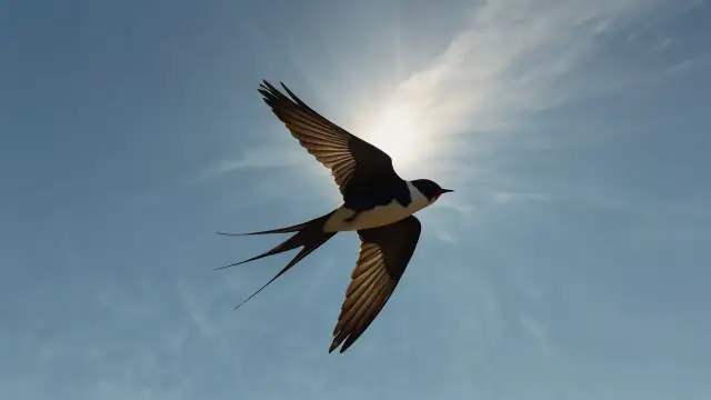 Symbolika jaskółki: Jakie znaczenie ma ona w różnych kulturach?