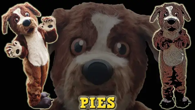 Jak zrobić strój psa dla dziecka z prostych materiałów krok po kroku