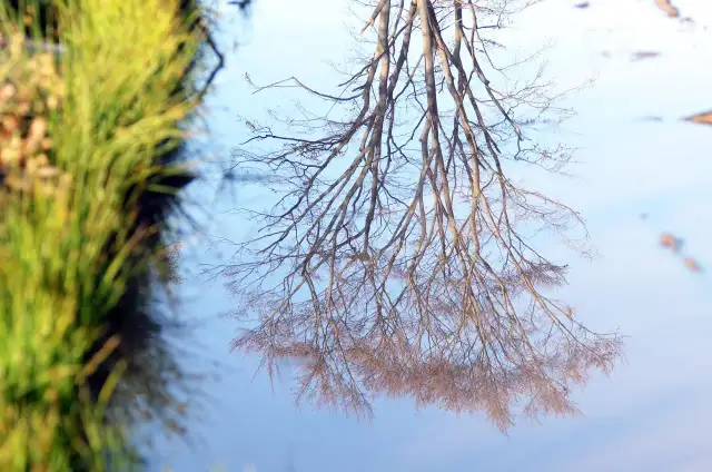 Kiedy Twoja firma potrzebuje pozwolenia zintegrowanego? Przegląd instalacji IPPC