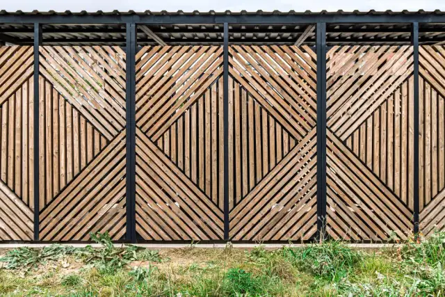 Najczęstsze błędy przy aranżacji ogrodu i jak ich uniknąć