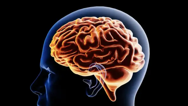 Dlaczego mózg traktuje prawie wygraną jak częściowy sukces