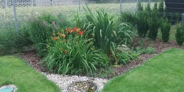 Jak stworzyć piękny ogródek na oczyszczalni: praktyczny poradnik dla każdego