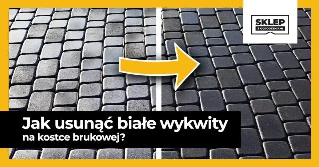 Jak usunąć biały nalot na kostce brukowej - skuteczne metody i porady