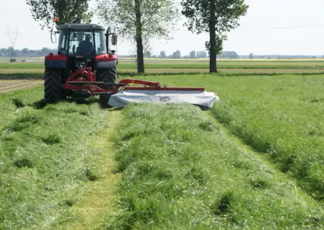 Uprawa traw na gruntach ornych: klucz do efektywnej produkcji paszy