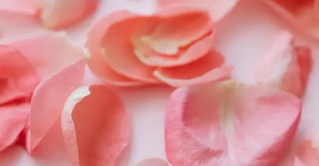 Włosy i paznokcie: 7 suplementów dla ich wzmocnienia