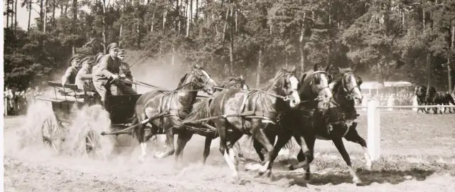 Stadnina ogierów Łąck - historia, tradycja i aktualne wydarzenia