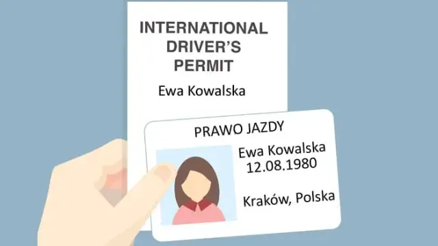 Czy w USA można jeździć na polskim prawie jazdy? Oto co musisz wiedzieć
