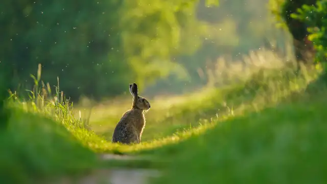 Gdzie jechać na Wielkanoc? Niezapomniane miejsca i tradycje