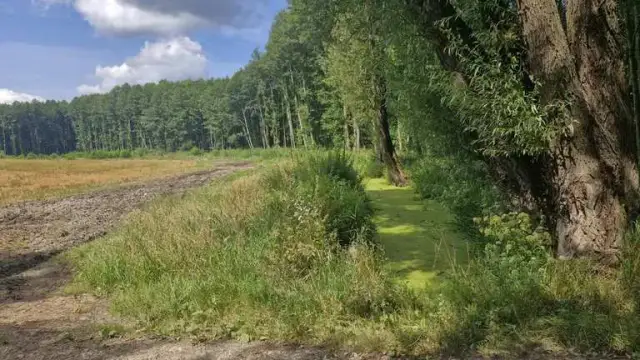 Najlepsze trasy rowerowe w Iławie: odkryj piękno regionu bez trwogi