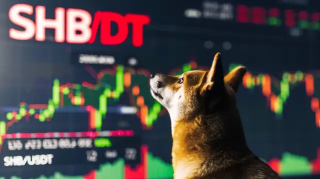 Handel Shiba Inu na Binance - Sprawdź możliwości inwestycyjne