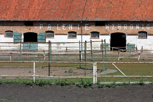 Kadyny stadnina koni - odkryj fascynującą historię i atrakcje