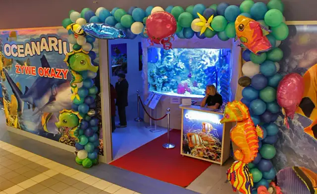 Oceanarium Warszawa Blue City - Fascynujące życie morskie i atrakcje