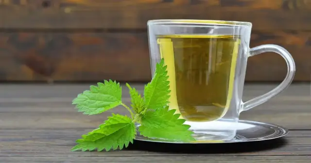 Jakie właściwości ma herbata z pokrzywy? Odkryj jej niezwykłe korzyści