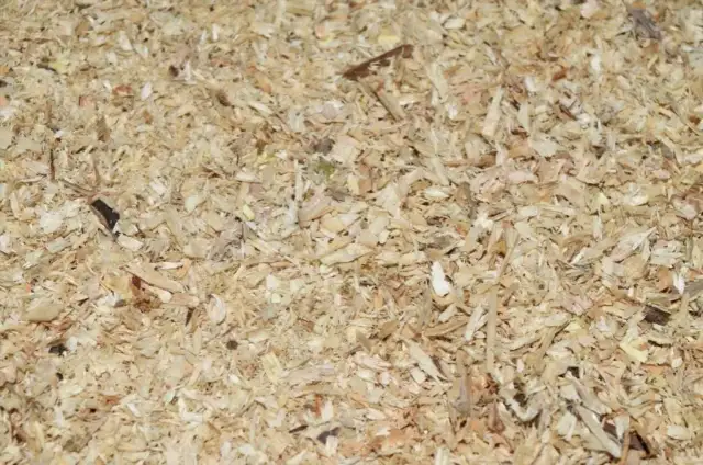 Ile trocin potrzeba na tonę pelletu? Obliczenia i optymalizacja produkcji