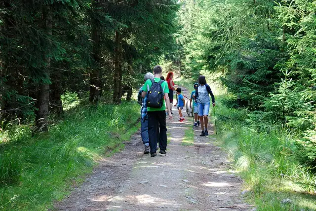 Trasy trekkingowe w brazylijskich górach: Serra do Mar i inne pasma